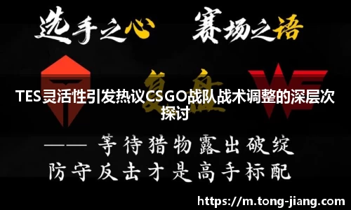 Mksport体育app官网入口