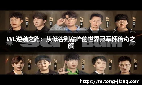 Mksport体育app官网入口