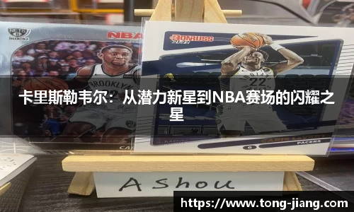 Mksport体育app官网入口