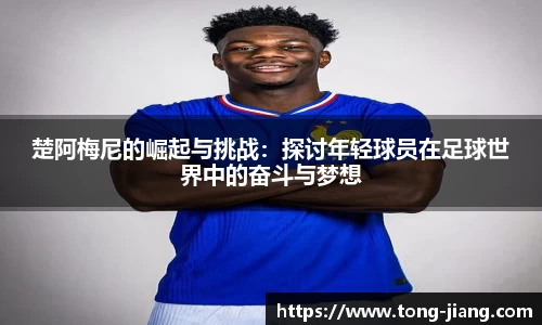mk体育
