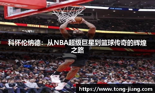 Mksport体育app官网入口
