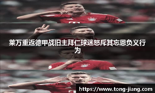 mk体育