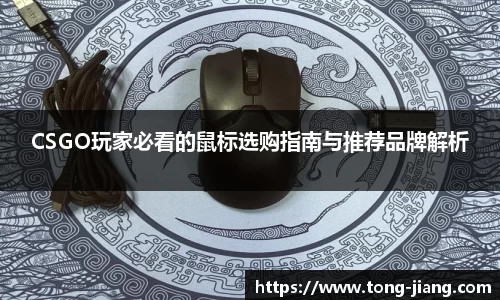 Mksport体育app官网入口