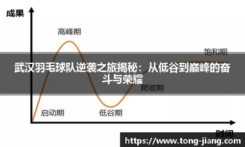 Mksport体育app官网入口